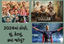 2024માં કોણે, શું, કેટલું, ક્યાં જોયું?